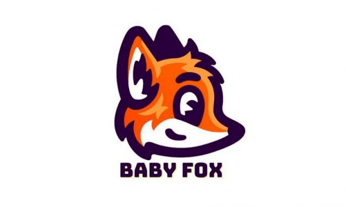 Baby Fox – A True 100x Passive Income Token on BSC Presale Launching Soon