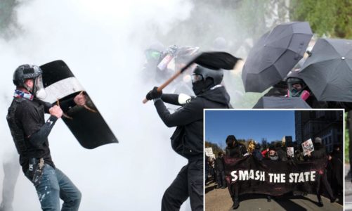 Who funds Antifa protests? We all do