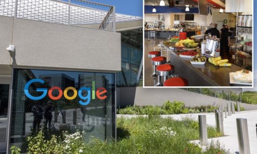 Google cuts more lavish employee perks