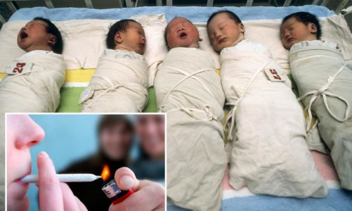Newborns are becoming victims of legalized marijuana use