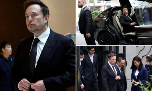 Elon Musk treated like rock star in China: ‘He’s a global idol’