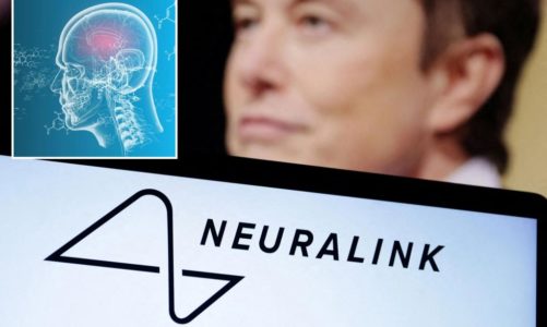 Elon Musk’s Neuralink gets FDA approval for human test of brain implants