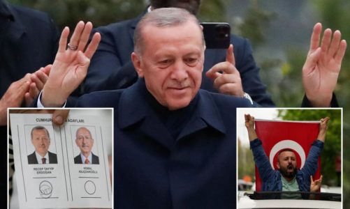 Incumbent President Erdogan declares victory in Turkey