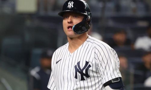 Josh Donaldson strikes out in key spot as pinch hitter in Yankees’ loss