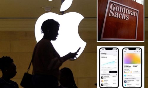 Apple users struggle to get funds out of Goldman-operated savings accounts