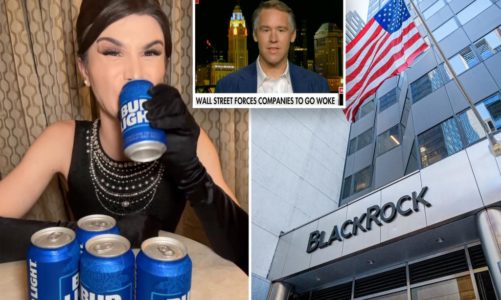 Lefty investment firms doom corporate USA, Bud Light