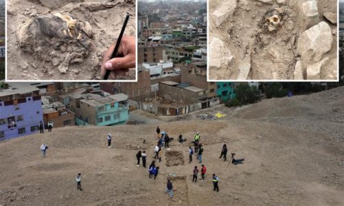 Ancient mummy discovered beneath 15,000lbs of trash at Peruvian dump