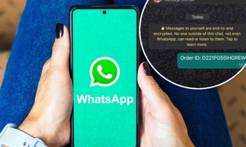 WhatsApp’s hidden contact feature revealed — here’s how it works