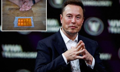 Elon Musk microdoses ketamine to treat depression: report