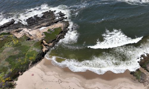 Pristine Bay Area beach on water ‘honor roll,’ but region has five of nastiest