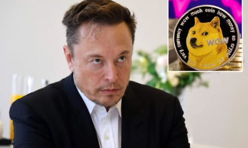 Elon Musk accused of insider trading by dogecoin investors