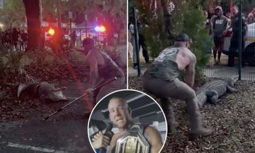 Florida MMA fighter Mike Dragich wrestles 10-foot alligator near elementary school