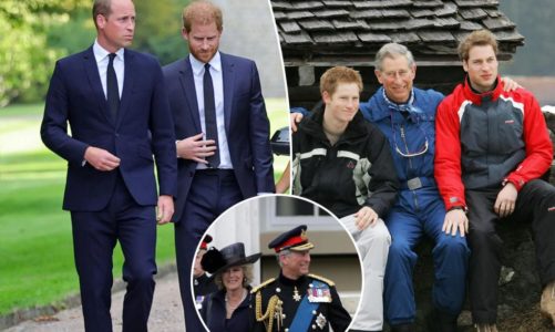King Charles is ‘keen’ to heal rift with Prince Harry: royal expert