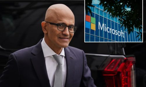 Microsoft works slam CEO Satya Nadella’s ‘landmark’ year claim
