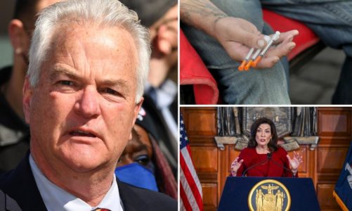 Hochul’s drug task force continues the an ineffective trend