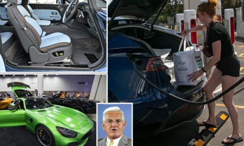 Ex-auto honcho Bob Lutz trashes US goal for electric car sales