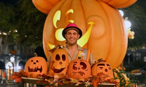 His lifelong obsession with the holidays turns into a Disneyland dream job