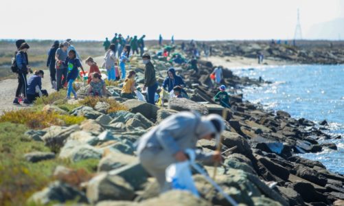 Beach bounce back? California’s largest volunteer event seeks to restore former glory after COVID downturn