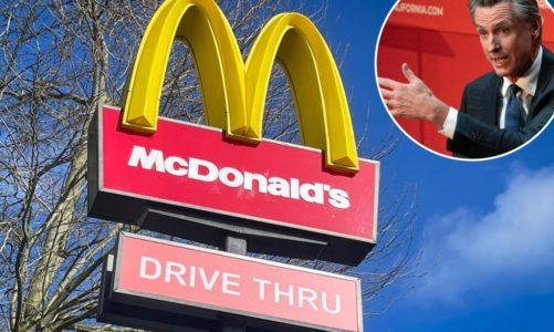 McDonald’s franchise group slams California fast-food law as ‘draconian’